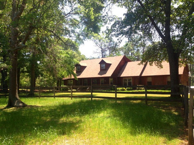 Main View