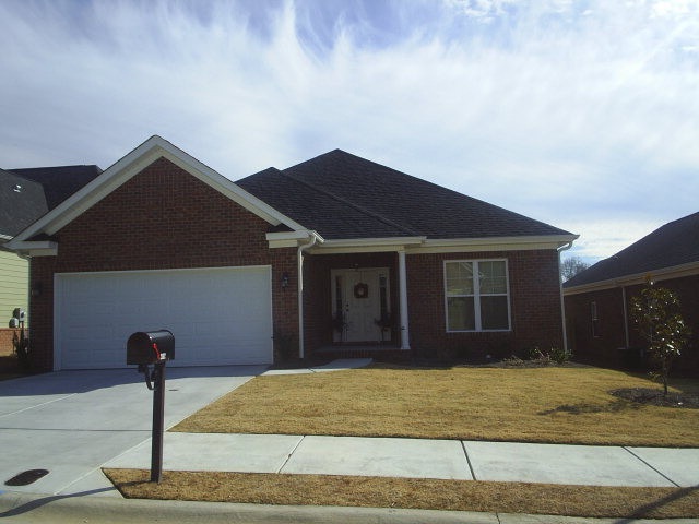Main View