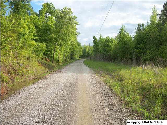 lots of road frontage on cty road 431 in trinity alabama