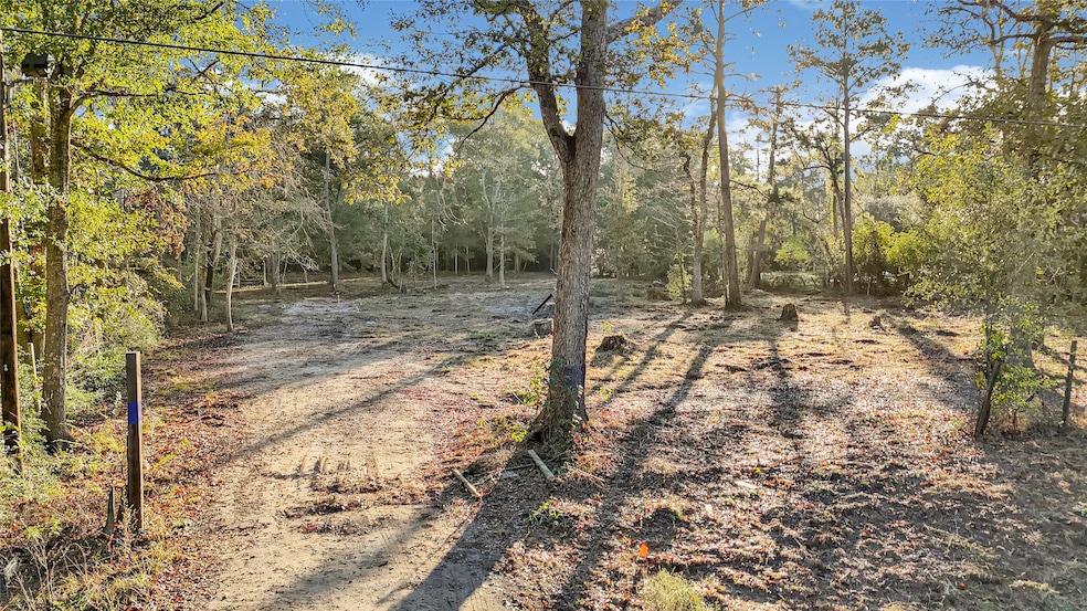 18243 Emerald Forest Dr, New Caney, TX 77357 - photo 1