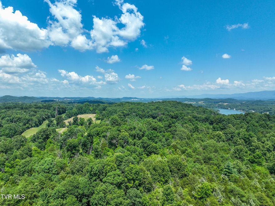 TBD Devault Bridge Rd Drone BURTON-22