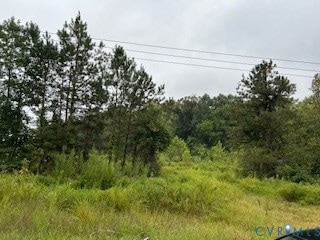 1 Rolfe Hwy, Dendron, VA 23839 - photo 1