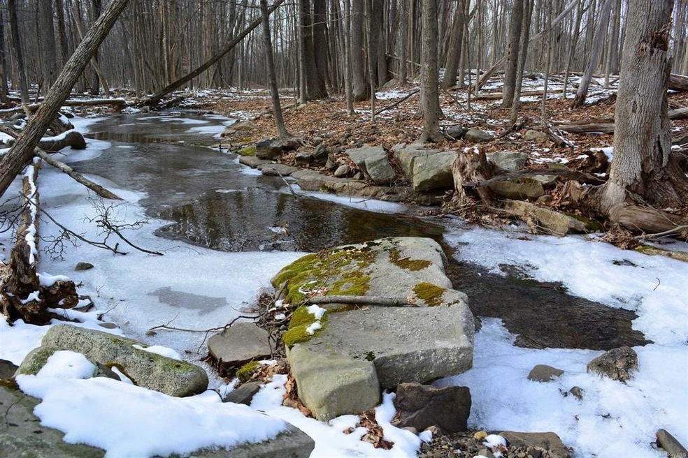 0 Lower Granite Rd unit 359353, Rochester, NY 12446 - photo 1