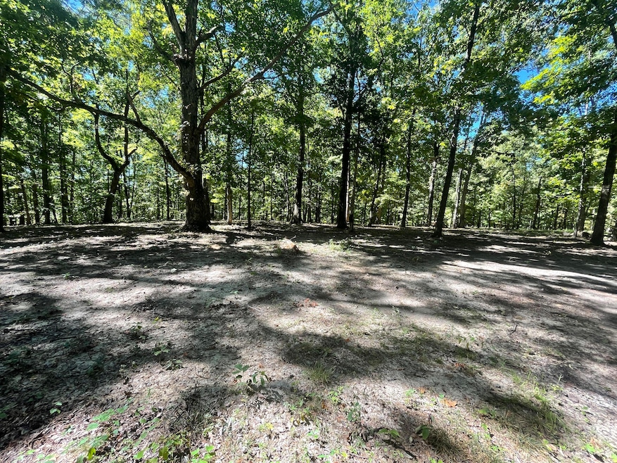 11.6 Acres Video Way, Newport, TN 37821 - photo 1