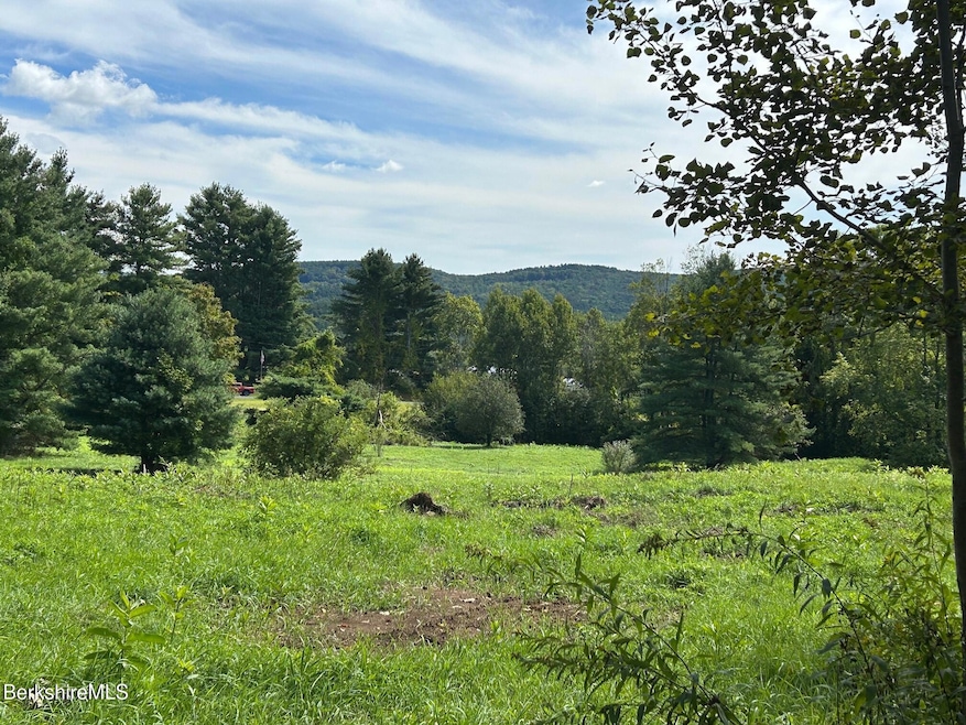 0 Brewer Branch Rd, New Marlborough, MA 01244 - photo 1