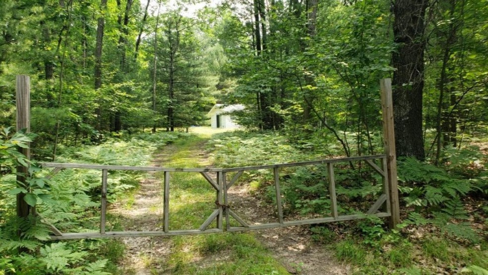 970 W 14 Mile Rd, Bitely, MI 49309 - photo 1