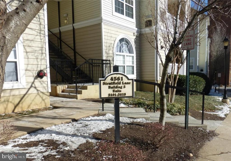 4561 Strutfield Ln unit 3417, Alexandria, VA 22311 - photo 1