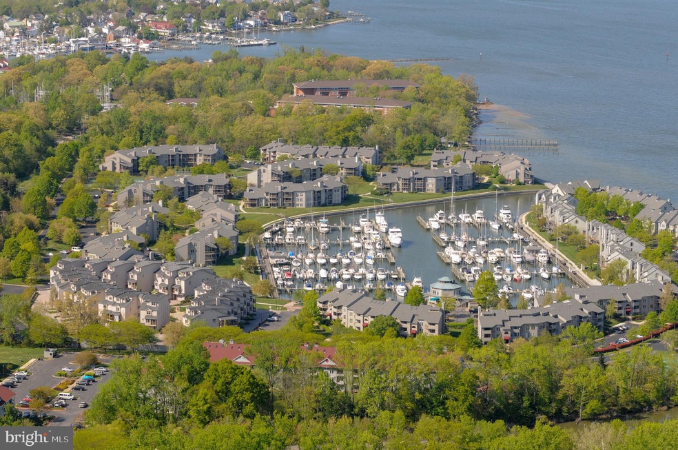 7028 Clinton Ct unit 16A, Annapolis, MD 21403 - photo 1