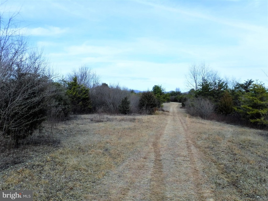 0 Jerome Rd, Mount Jackson, VA 22842 - photo 1