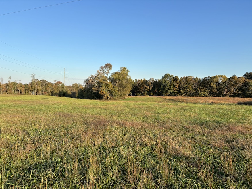 0 Hanestown Rd, Lafayette, TN 37083 - photo 1