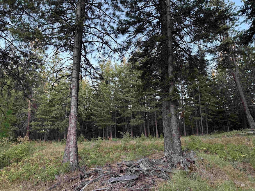 TBD, Asotin, WA 99402 - photo 1