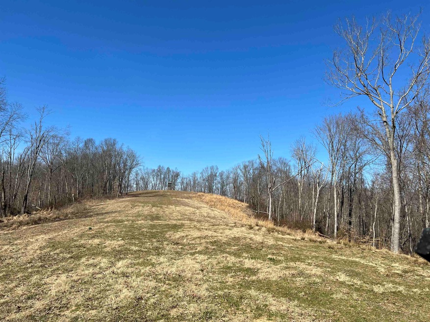 128 McClarity Fork Rd Pound Fork Rd, Branchland, WV 25506 - photo 1