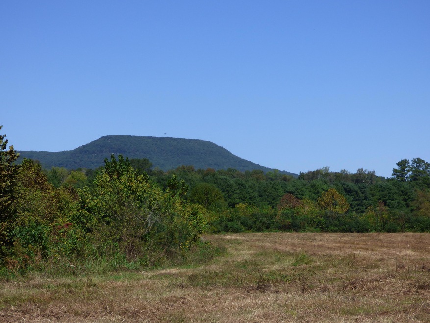 0 Chamberlain Rd unit 1236036, La Fayette, GA 30728 - photo 1