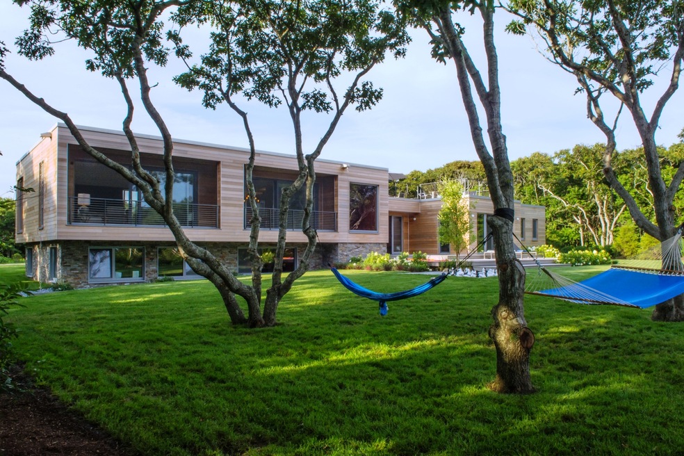 Hammocks in backyard
