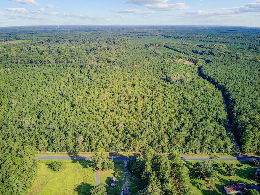 00 Summer Dr unit 4, Ridgeville, SC 29472 - photo 1