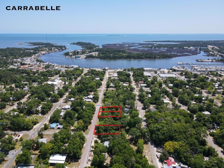 Lot 4 NW 5th St, Carrabelle, FL 32322 - photo 1