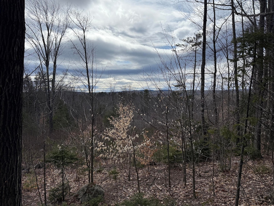 Lot #2 Moose Hill Rd, Livermore Falls, ME 04254 - photo 1