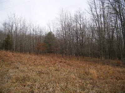 Primary Photo