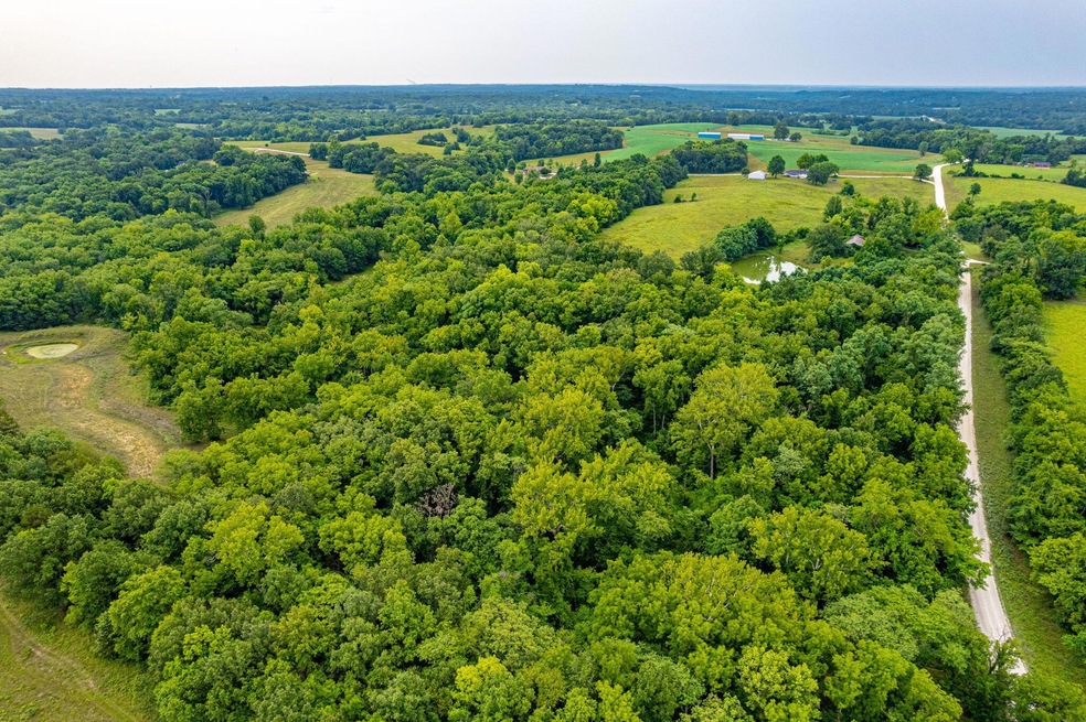 3-web-or-mls-121-co-rd-438