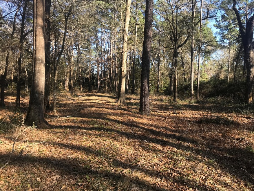 0 Roberts Cemetery Rd unit 13063237, Hockley, TX 77447 - photo 1