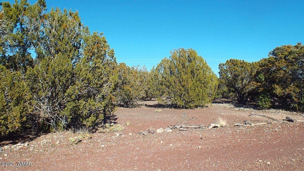 Level lot