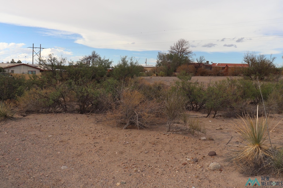 207 Black Range Ave, Elephant Butte, NM 87935 - photo 1