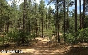 Dearing Park