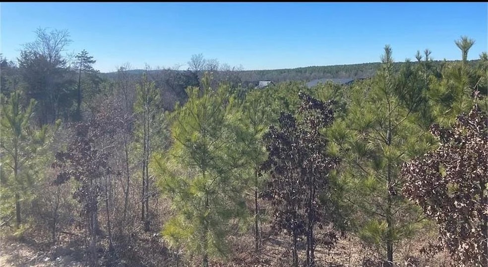 1118 Camp Ranch Rd, Broken Bow, OK 74728 - photo 1
