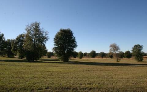 LOT73 Mandiba Dr, Lake City, FL 32024 - photo 1