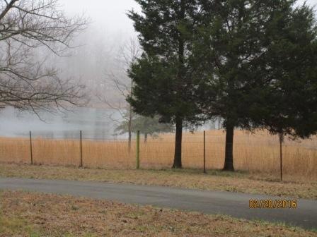 land 3 with pond