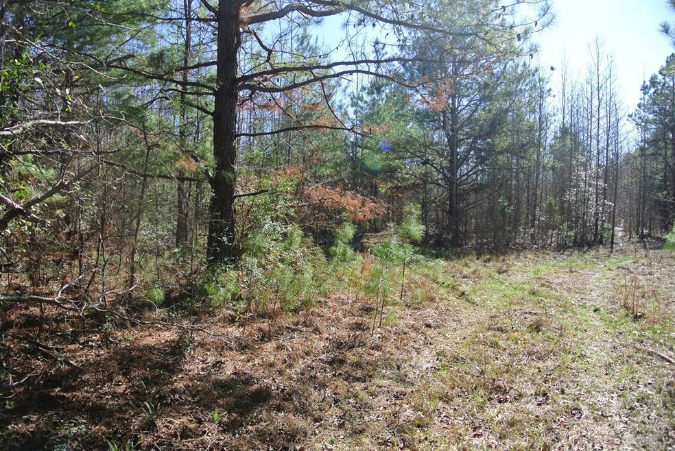 TBD C R 3257, Garrison, TX 75946 - photo 1