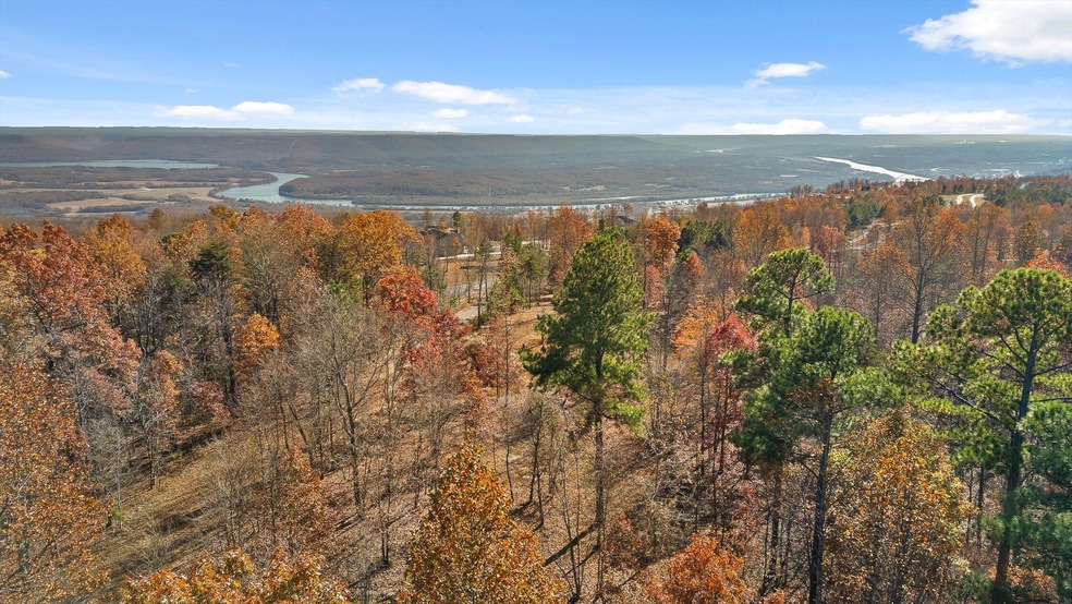 River Bluffs Drive 9.45+/- Acres