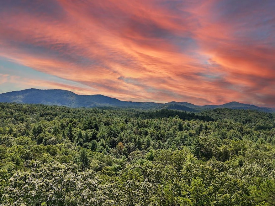 245+/-AC Gates Chapel Rd, Ellijay, GA 30540 - photo 1