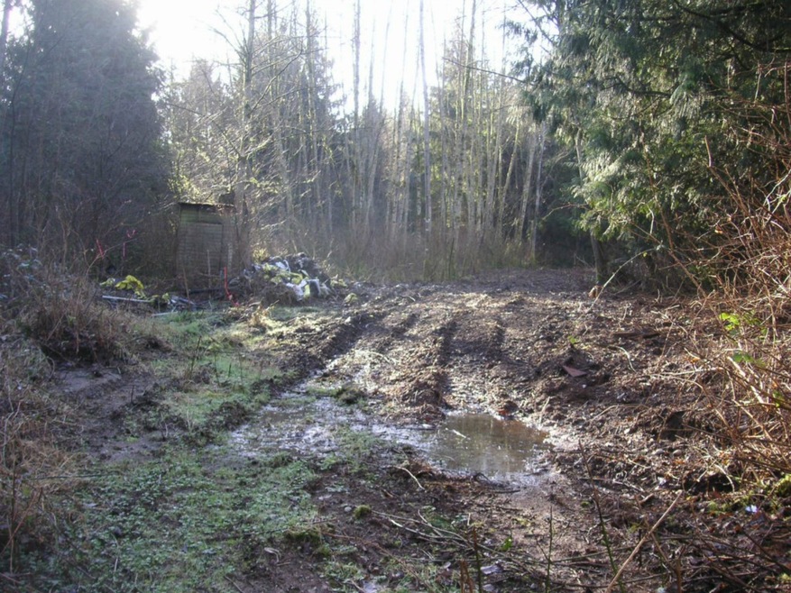 191 40th Ave NW, Stanwood, WA 98292 - photo 1