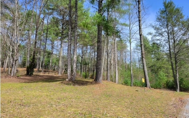 Main View