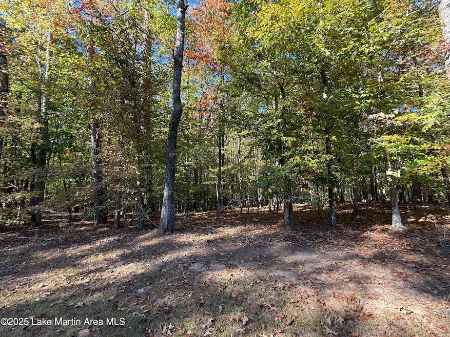 Lot 8 S Fern Ridge, Dadeville, AL 36853 - photo 1