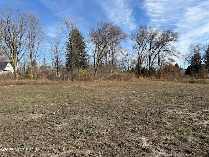 5655 Olive Tree Ln, Monclova, OH 43542 - photo 1