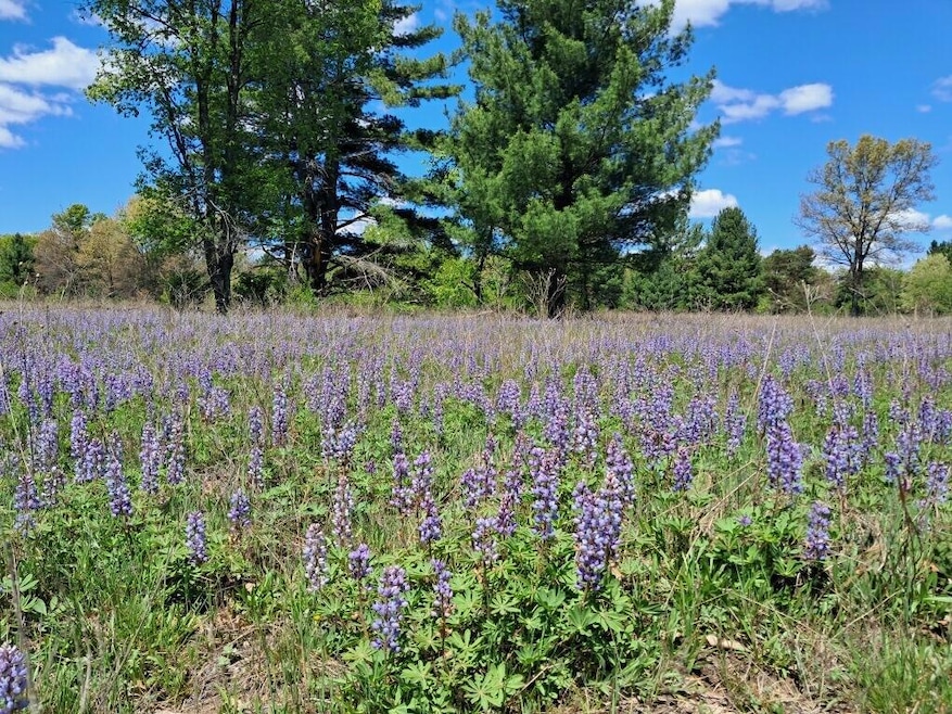 10.01AC Barberry Ave, Brooks Township, MI 49337 - photo 1
