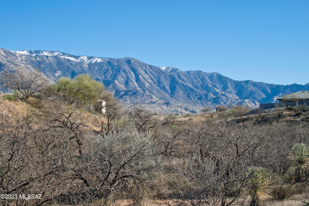 16642 N Windmill Place unit 9, Tucson, AZ 85739 - photo 1