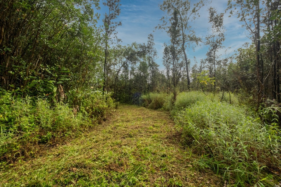 0 Pikake St unit 725043, Mountain View, HI 96771 - photo 1