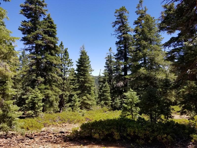 320 S Lichen Ln unit ZVME D-125, Duck Creek Village, UT 84762 - photo 1