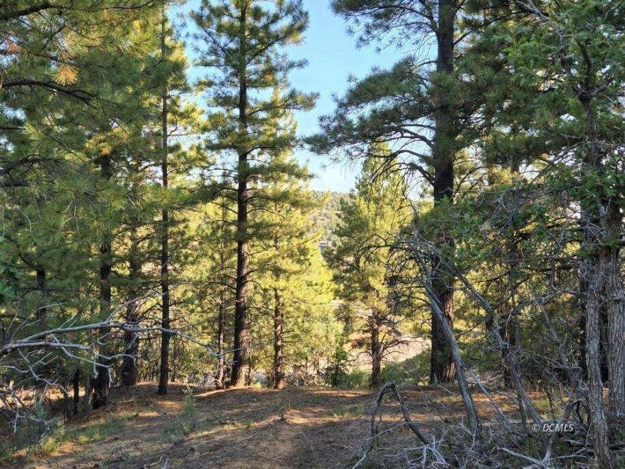 Wooded lot