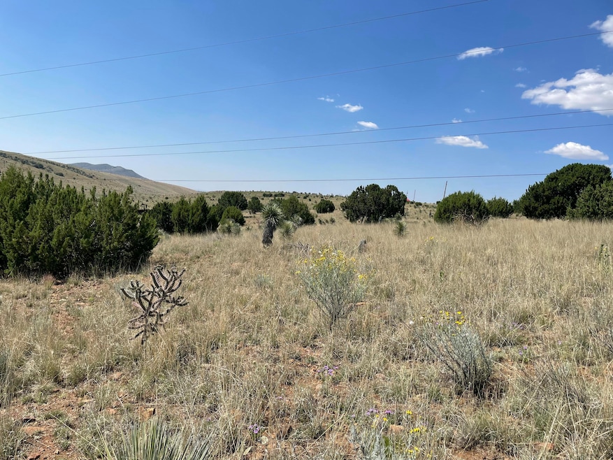 191 Kirkland Rd, Silver City, NM 88061 - photo 1