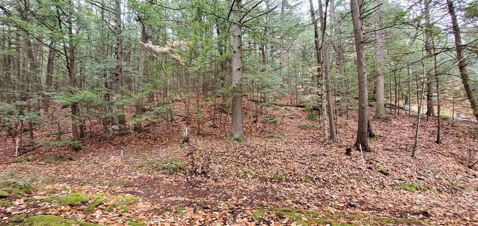 0 Pierce Rd, Chesterfield, NH 03462 - photo 1