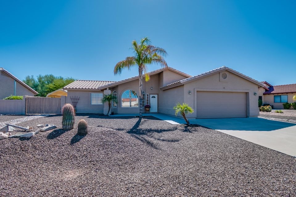 Desert Landscaping