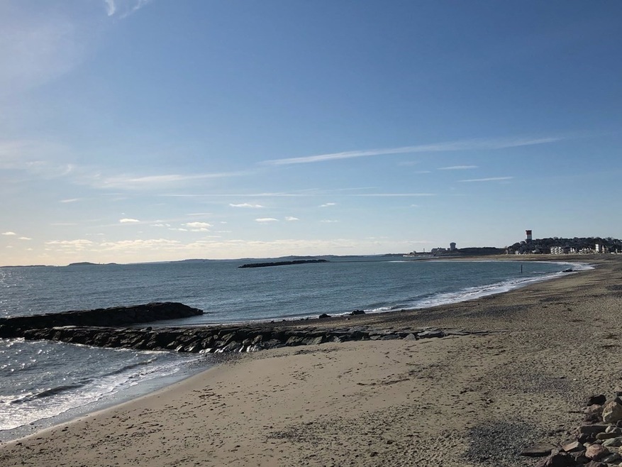 59 Crest Ave unit 1, Winthrop, MA 02152 - photo 1