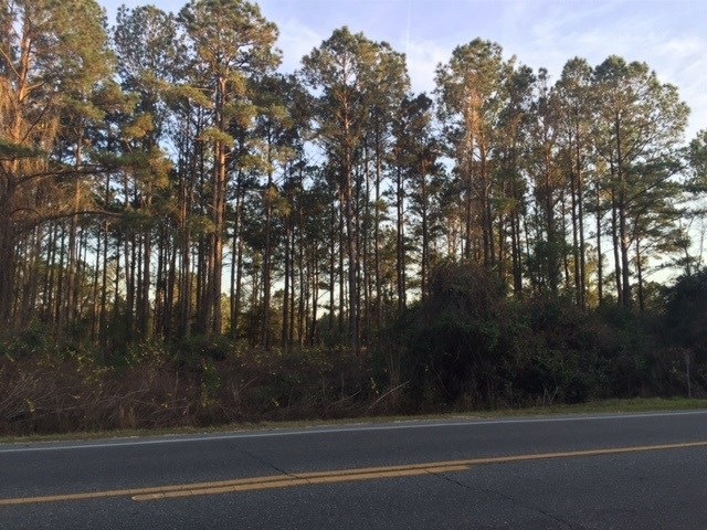 lot on Crawfordville Hwy, Crawfordville, FL 32327 - photo 1