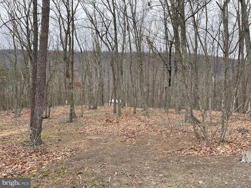 9.50 AC Bird Ridge Rd, Springfield, WV 26763 - photo 1