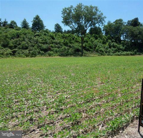 770 Fairview Rd, Mount Joy, PA 17552 - photo 1