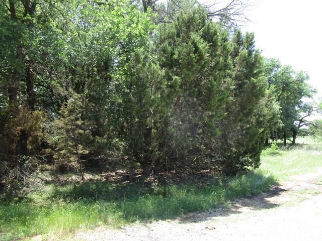 13081 Crestwood Dr, Whitney, TX 76692 - photo 1